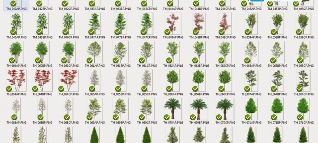 400 MB Thư viện Photoshop cây - dạng PNG (bản đẹp) - Ảnh 6